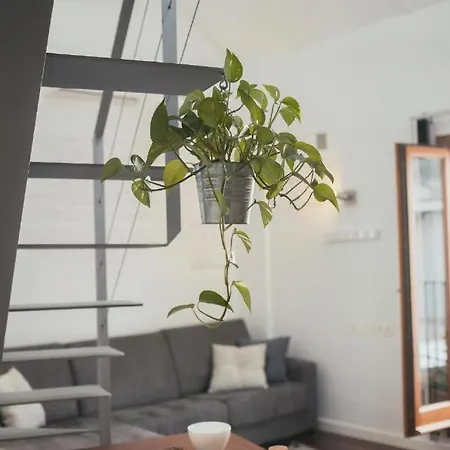 Apartamento Trigo Homes Córdoba