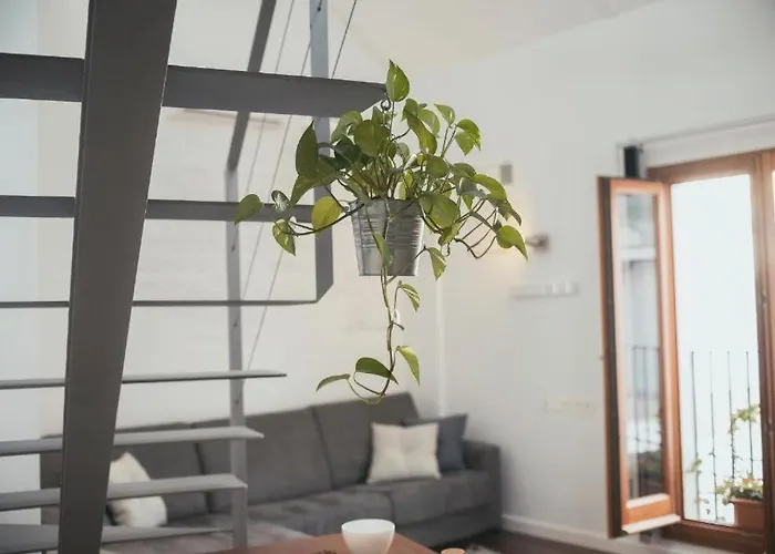 アパート Trigo Homes コルドバ